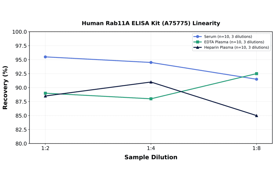 Linearity - Human Rab11A ELISA Kit (A75775) - Antibodies.com