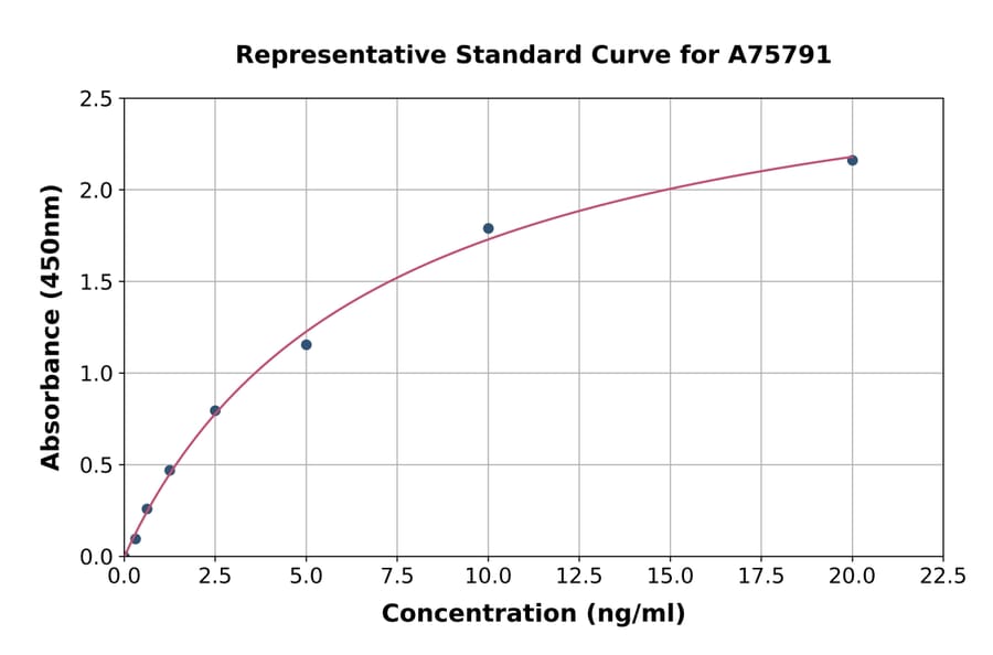 Standard Curve - Human TIP49A ELISA Kit (A75791) - Antibodies.com
