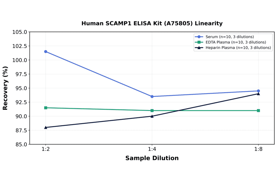 Linearity - Human SCAMP1 ELISA Kit (A75805) - Antibodies.com