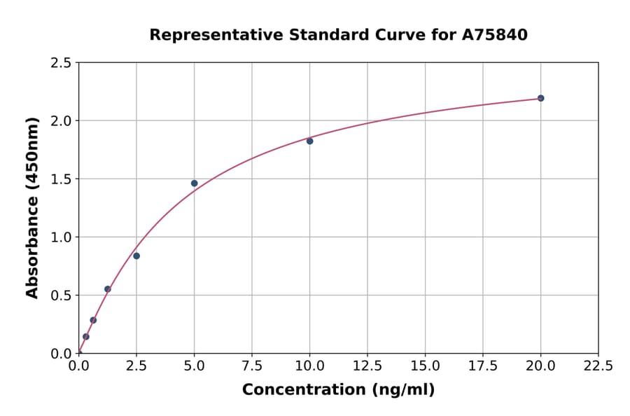Standard Curve - Rat SLC25A20 ELISA Kit (A75840) - Antibodies.com