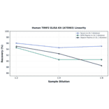 Linearity - Human TIMP2 ELISA Kit (A75903) - Antibodies.com