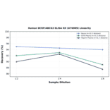 Linearity - Human BCRP/ABCG2 ELISA Kit (A76089) - Antibodies.com