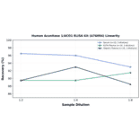 Linearity - Human Aconitase 1/ACO1 ELISA Kit (A76094) - Antibodies.com