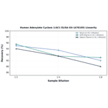 Linearity - Human Adenylate Cyclase 1/AC1 ELISA Kit (A76105) - Antibodies.com
