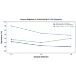 Linearity - Human Aldolase C ELISA Kit (A76122) - Antibodies.com