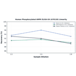 Linearity - Human Phosphorylated AMPK ELISA Kit (A76126) - Antibodies.com