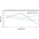 Linearity - Human Alkaline Phosphatase, Tissue Non-Specific ELISA Kit (A76192) - Antibodies.com
