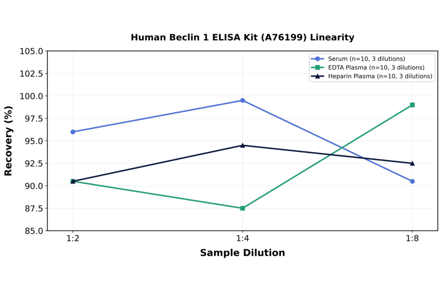 Linearity - Human Beclin 1 ELISA Kit (A76199) - Antibodies.com