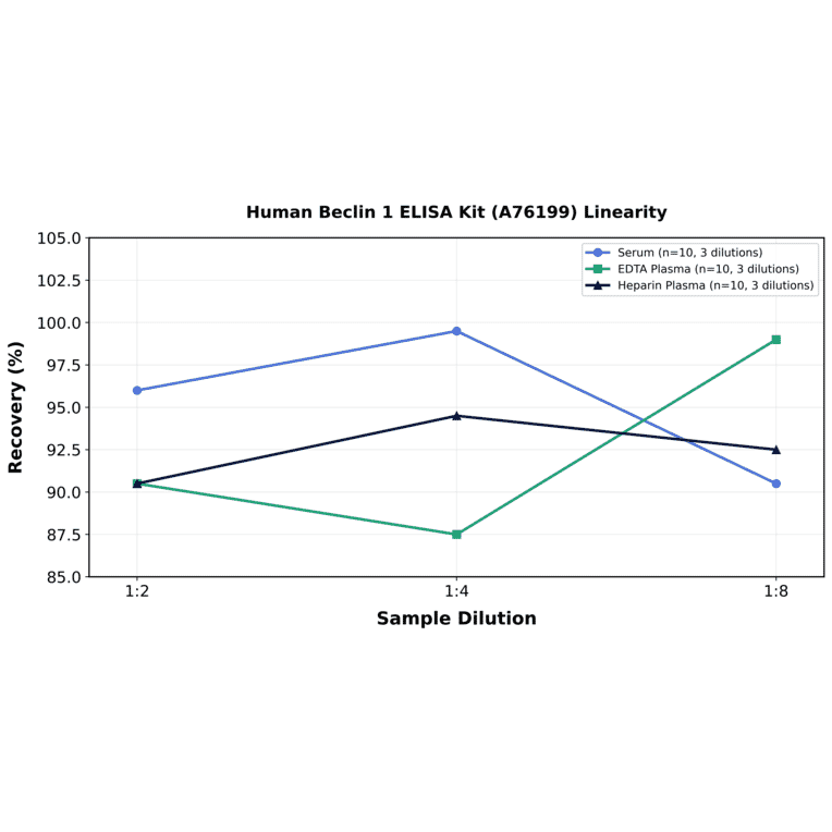 Linearity - Human Beclin 1 ELISA Kit (A76199) - Antibodies.com