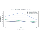 Linearity - Human BRCA1 ELISA Kit (A76218) - Antibodies.com