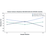 Linearity - Human Carbonic Anhydrase 5B/CA5B ELISA Kit (A76228) - Antibodies.com