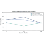 Linearity - Human Calpain 2 ELISA Kit (A76240) - Antibodies.com