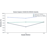 Linearity - Human Caspase-1 ELISA Kit (A76243) - Antibodies.com