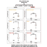 Validation Data - Human CHIT1 ELISA Kit (A76323)