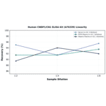 Linearity - Human CNDP1/CN1 ELISA Kit (A76339) - Antibodies.com