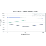 Linearity - Human Collagen II ELISA Kit (A76348) - Antibodies.com