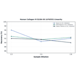 Linearity - Human Collagen IV ELISA Kit (A76353) - Antibodies.com