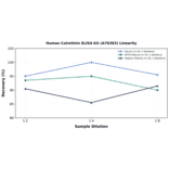 Linearity - Human Calretinin ELISA Kit (A76363) - Antibodies.com