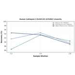 Linearity - Human Cathepsin V ELISA Kit (A76382) - Antibodies.com