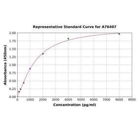 Standard Curve - Rat Aromatase ELISA Kit (A76407) - Antibodies.com