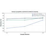 Linearity - Human Cyclophilin A ELISA Kit (A76415) - Antibodies.com