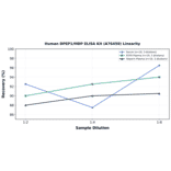 Linearity - Human DPEP1/MDP ELISA Kit (A76450) - Antibodies.com