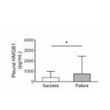 ELISA - Human HMGB1 ELISA Kit (A76688) - Publication