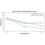 Linearity - Human Caspase-7 ELISA Kit (A76728) - Antibodies.com