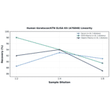 Linearity - Human Keratocan/KTN ELISA Kit (A76848) - Antibodies.com