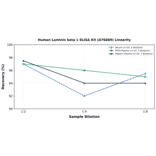 Linearity - Human Laminin beta 1 ELISA Kit (A76869) - Antibodies.com