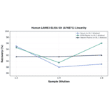 Linearity - Human LAMB3 ELISA Kit (A76871) - Antibodies.com