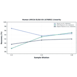 Linearity - Human LMX1b ELISA Kit (A76892) - Antibodies.com