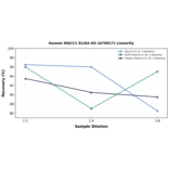 Linearity - Human MACC1 ELISA Kit (A76917) - Antibodies.com
