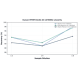 Linearity - Human MTHFR ELISA Kit (A76986) - Antibodies.com