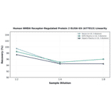 Linearity - Human NMDA Receptor-Regulated Protein 2 ELISA Kit (A77013) - Antibodies.com