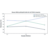 Linearity - Mouse NFkB p105/p50 ELISA Kit (A77033) - Antibodies.com