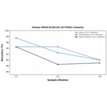 Linearity - Human NFkB ELISA Kit (A77036) - Antibodies.com