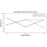 Linearity - Human PARP1 ELISA Kit (A77093) - Antibodies.com
