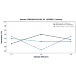 Linearity - Human PORCN/PPN ELISA Kit (A77165) - Antibodies.com