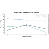 Linearity - Human RAB10 ELISA Kit (A77233) - Antibodies.com