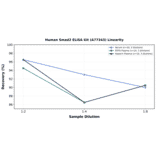 Linearity - Human Smad2 ELISA Kit (A77343) - Antibodies.com