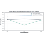 Linearity - Human gamma Synuclein/SNCG ELISA Kit (A77385) - Antibodies.com