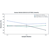 Linearity - Human Wnt3a ELISA Kit (A77505) - Antibodies.com