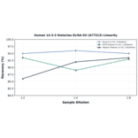 Linearity - Human 14-3-3 theta/tau ELISA Kit (A77513) - Antibodies.com