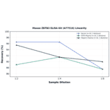Linearity - Mouse ZBTB3 ELISA Kit (A77516) - Antibodies.com