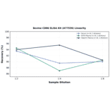 Linearity - Bovine CD86 ELISA Kit (A77559) - Antibodies.com