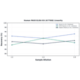 Linearity - Human PAX8 ELISA Kit (A77568) - Antibodies.com