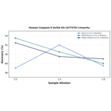 Linearity - Human Caspase-5 ELISA Kit (A77570) - Antibodies.com