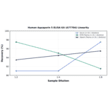 Linearity - Human Aquaporin 5 ELISA Kit (A77704) - Antibodies.com