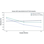 Linearity - Human HIF1 beta ELISA Kit (A77710) - Antibodies.com
